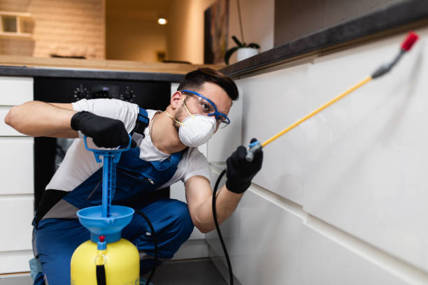 Best Emergency Pest Control  in Hope Mills, NC