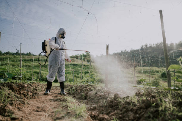 Best Mosquito Control Services  in Hope Mills, NC