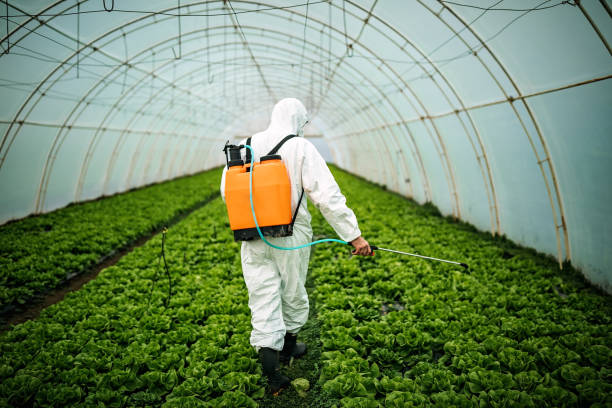 Best Affordable Pest Control Services  in Hope Mills, NC