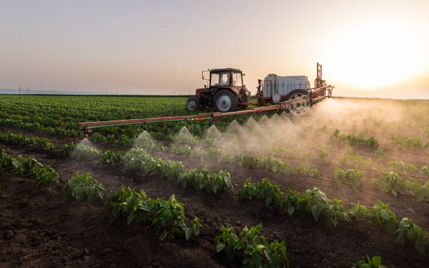 Best Mosquito Control Services  in Hope Mills, NC