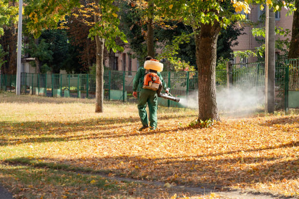Best Cockroach Control Services  in Hope Mills, NC