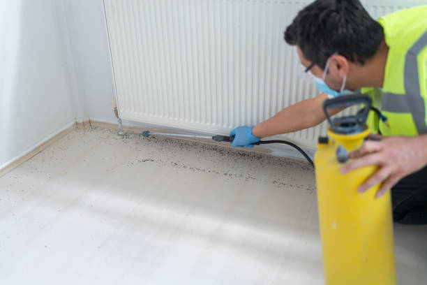Best Local Pest Control Services  in Hope Mills, NC