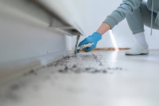 Best Wasp Removal Services  in Hope Mills, NC